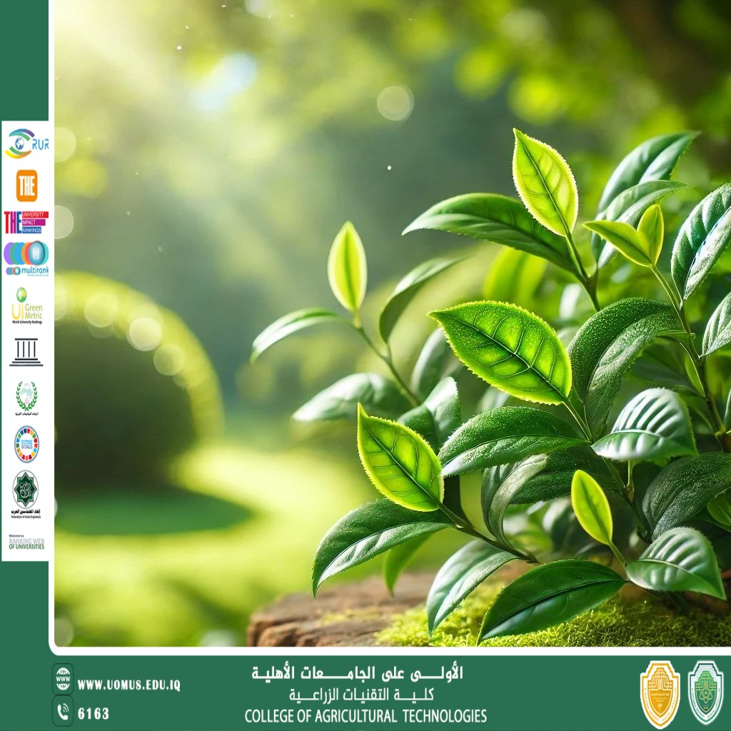 Scientific Article for Prof. Dr. Majeed Kadhim Abbas titled "The Health Benefits of Green Tea"