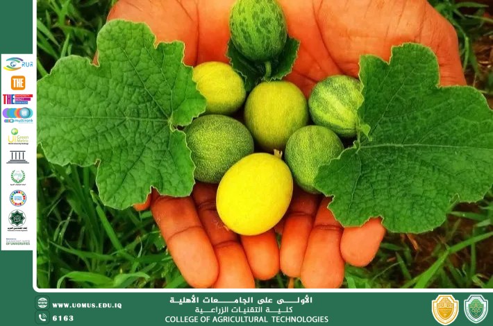 مقالة للتدريسي م.م رعد طلال تومان بعنوان الحنظل مرارة الطبيعة وكنز الفوائد الطبية