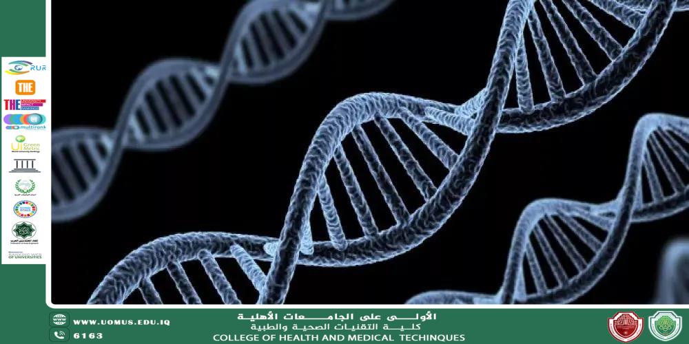 The Role of Genes in Determining Human Traits
