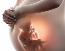 Immune tolerance in pregnancy By Dr.Rawaa M. Mohammed 