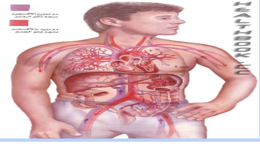 default image