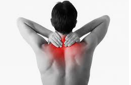 مقالة علمية للدكتورة م.د افتخار مطر باقر بعنوان (نقاط اثارة الالم Trigger Point)