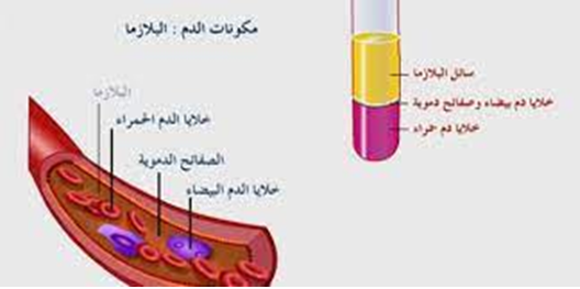 ( بلازما الدم )مقالة علمية للتدريسي م.د رضا عبد الحسين هادي