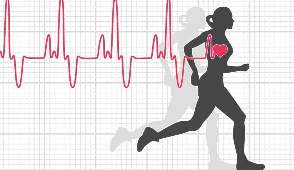 درجة الحرارة والتمرين الرياضي وعضلة القلب