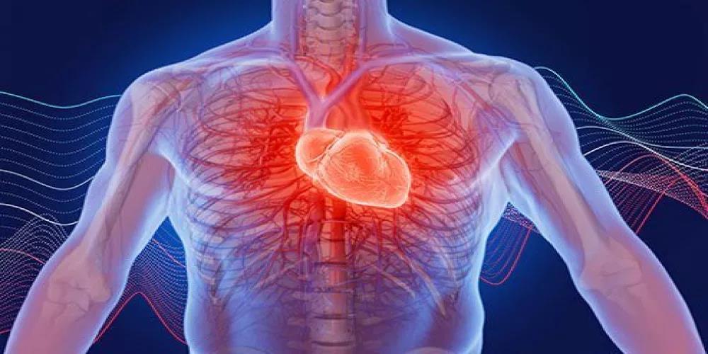 خفقان القلب واهم ما يترتب علية من اعراض و عوامل خطر على الانسان مقالة علمية للمعيدة سارة عباس