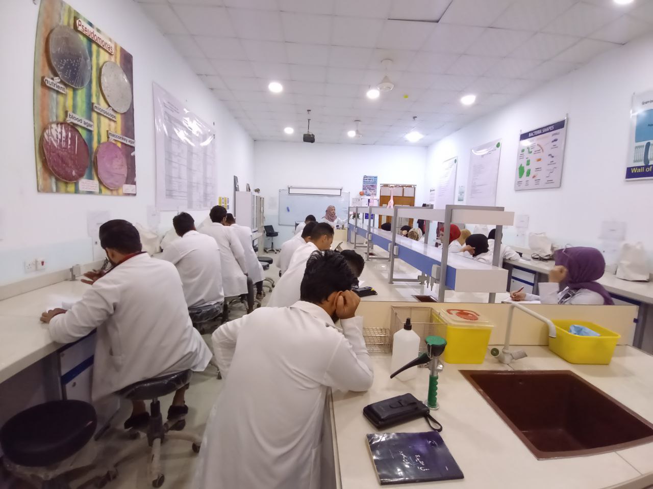 default image