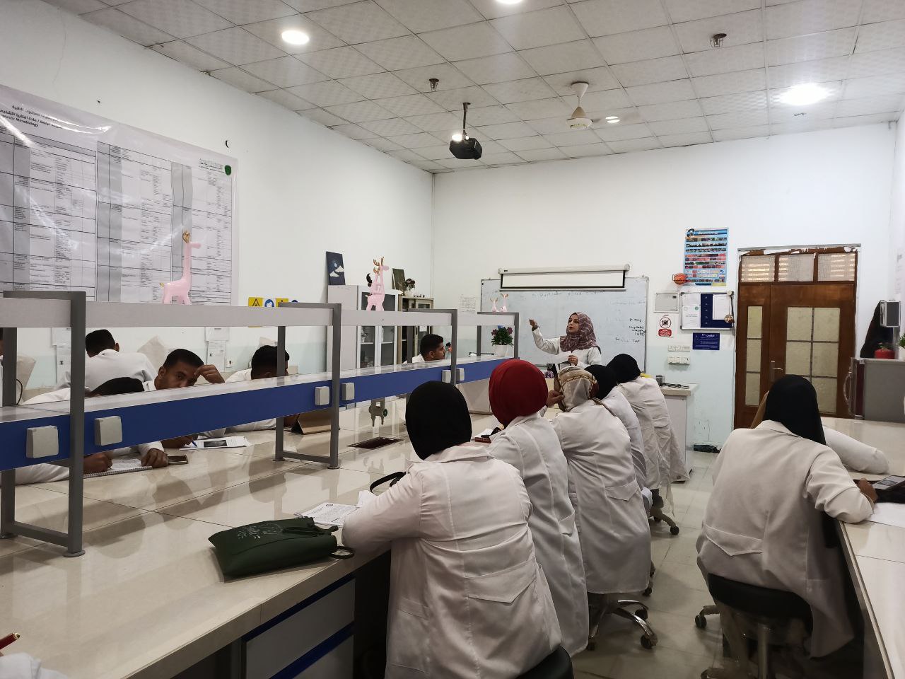Medical Laboratories Techniques Department Organizes a Training Workshop on “Bacterial Resistance & Wrong Use of Antibiotics”