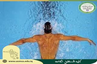 مقالة عن " تمارين المرونة للسباح "  للتدريسي ( م.د وليد خالد عبدالهادي ) 