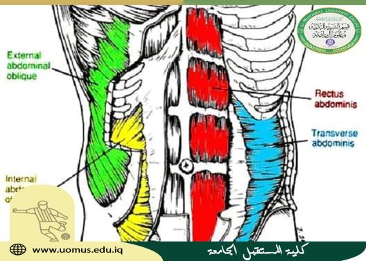 مقالة للتدريسي م.د فاضل محمد عبس
