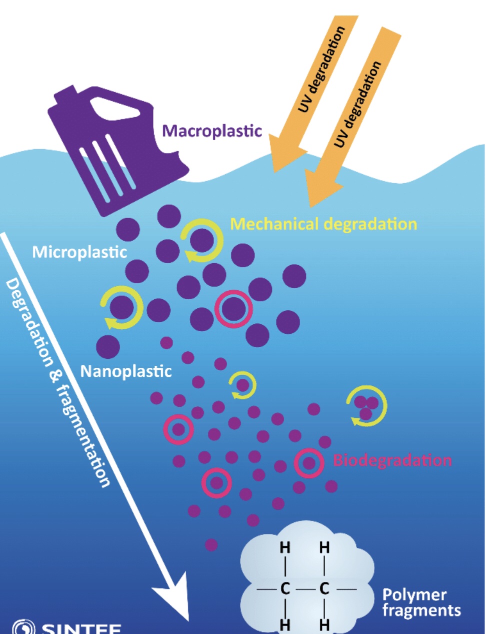 default image