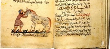 مقالة بعنوان الشعر الجاهلي