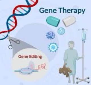 default image
