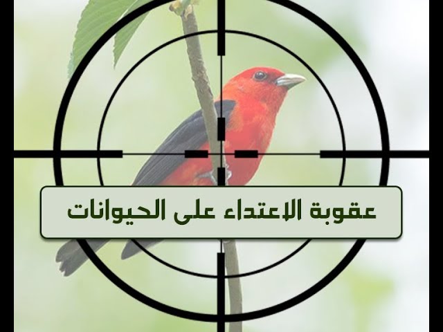 الحكم القانوني للاعتداء على الحيوانات المستأنسة "التمثيل بطائر الحمام انموذجا"  