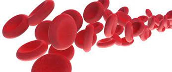 Leukemia 