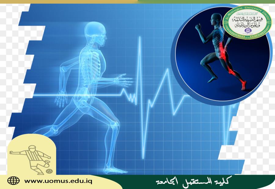 مقالة علمية للتدريسي ( م.م علي محي مكطوف ) 