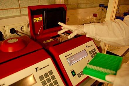 حلقة نقاشية"PCR "