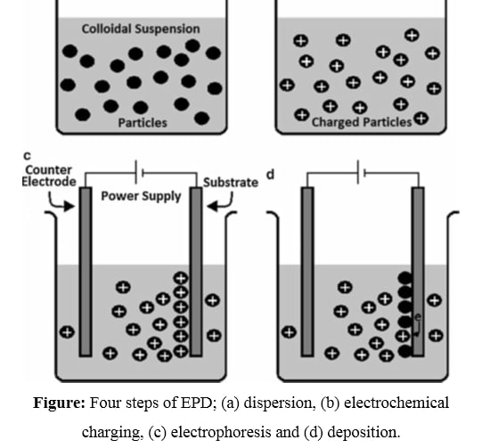 Electrophoretic deposition (EPD)