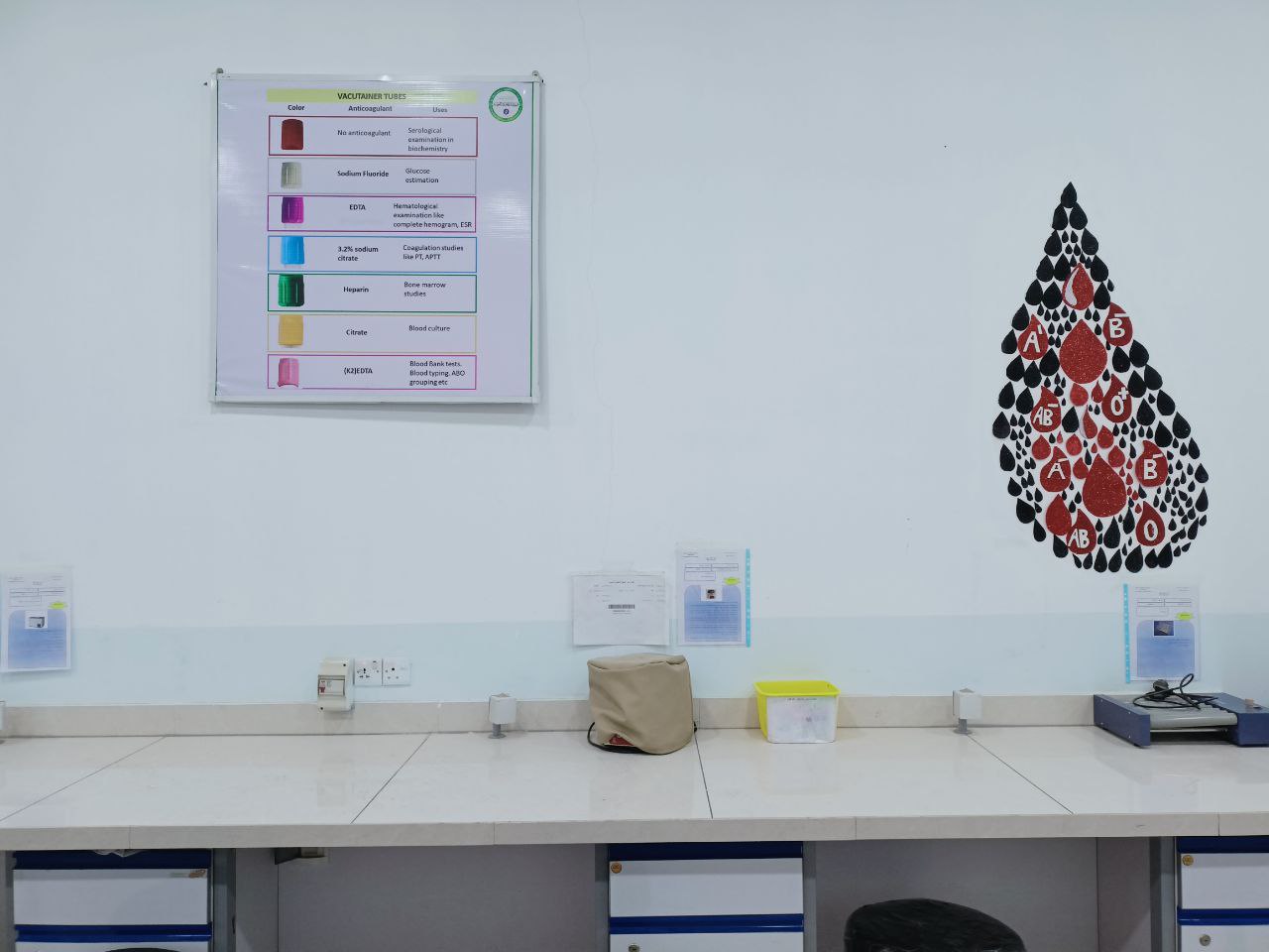Students of Medical Labs Department Design an Educational Poster Including Tubes of Various Sizes Used in Laboratory Tests