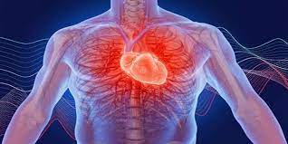 حلقة نقاشية " خفقان القلب (Heart Palpitation)"