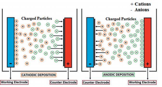 Electrophoretic Deposition Technique