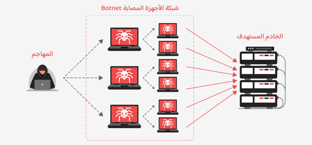 DDoS Attacks and Their Impact on Networks