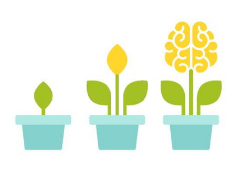 Houseplants can improve mental health and well-being