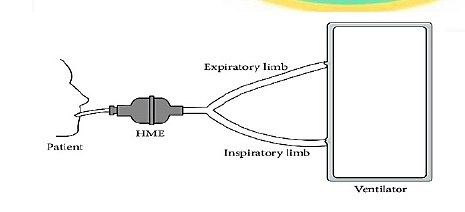 default image