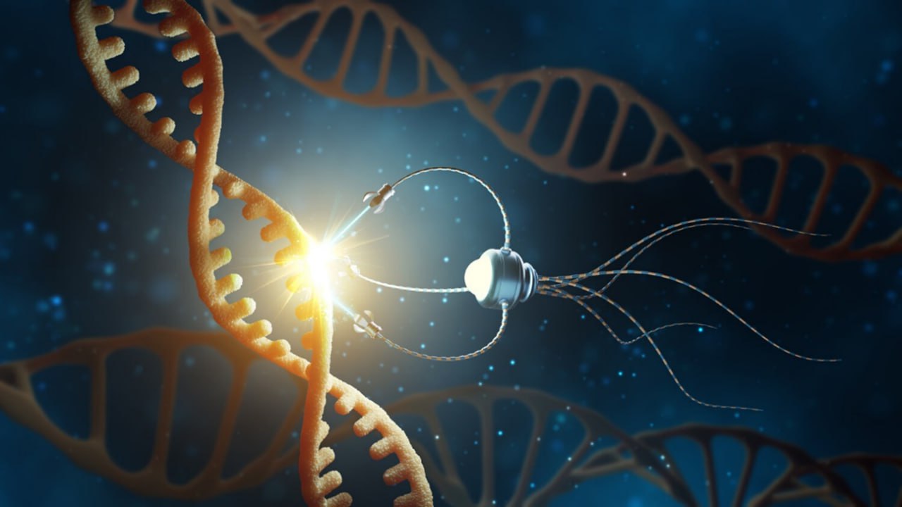 ورشة الكترونية "NANOROBOTICS"