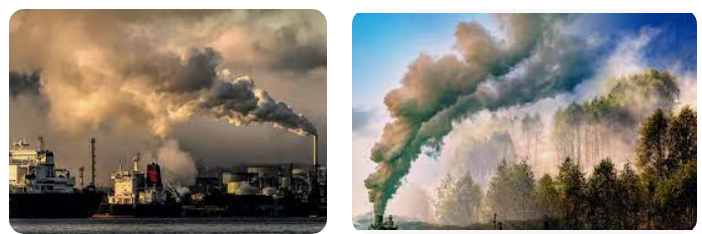 The Environmental Science and Renewable Energy Development