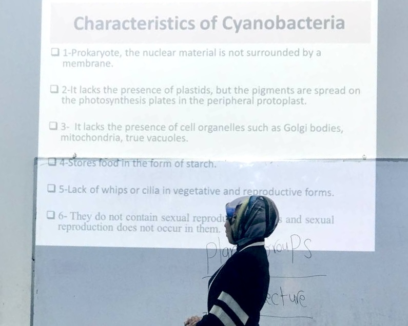 ورشة عمل للتدريسية ( م.م زينب ناظم عزيز ) بعنوان "(Cyanobacteria (blue-green algae"
