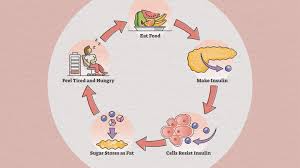 What is insulin resistance?
