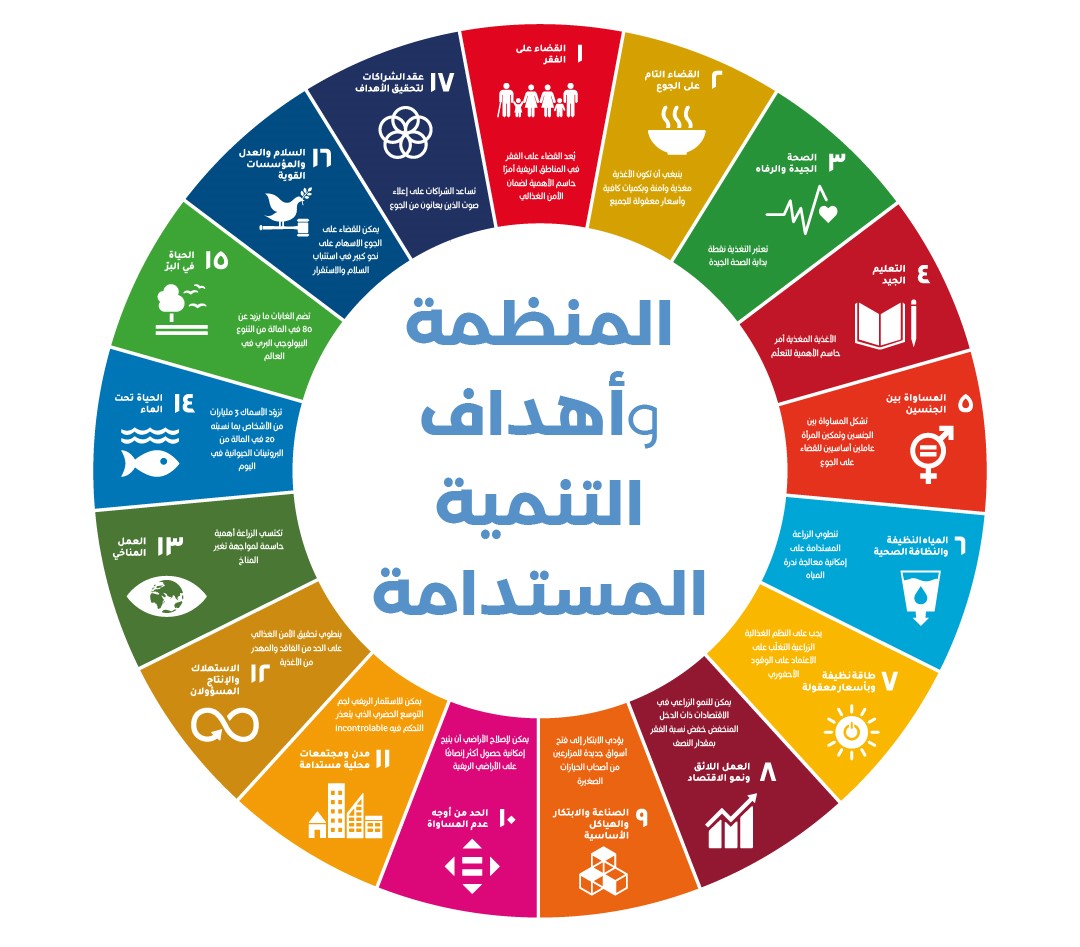 دور العمارة في تحقيق أهداف التنمية المستدامة