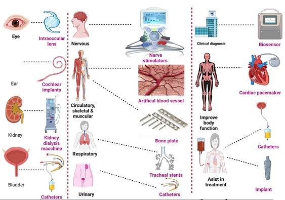 " المواد الحیویة البدیلة (Biomaterials )واستخداماتھا المتعددة في التطبیقات البشریة " بقلم ا.م.د محمود عبدالحافظ قناوي 