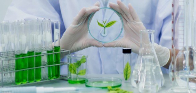 مقالة علمية للدكتور ( أ.د. ناصر عبد الحسن ناصر ) دور الجزيئات الكبيرة (Macromolecules) في التكنولوجيا الحيوية: تصنيع الأغذية