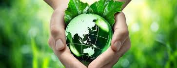 Sustainable adhesives