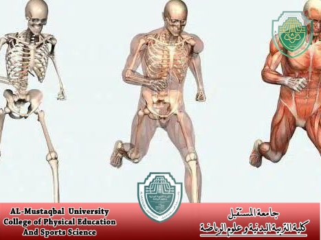 مقاله علميه بعنوان " البايوميكانيك العلاجي " للتدريسي في كلية التربية الرياضية ( م.م ضرغام جاسم )