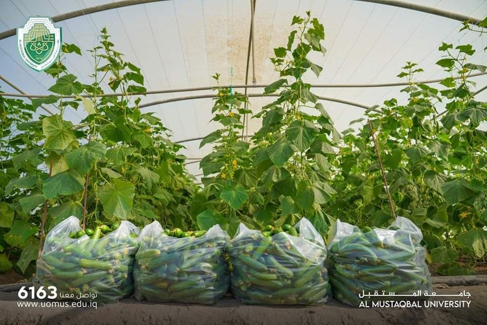 Organic agriculture at the university of the future: a sustainable vision for nutrition and the environment