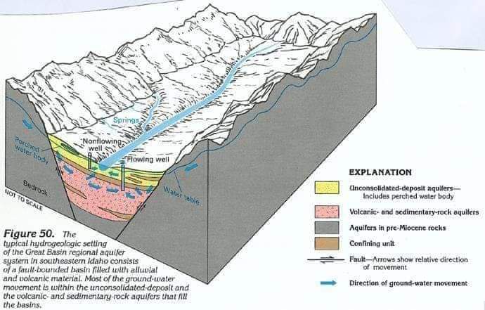 default image