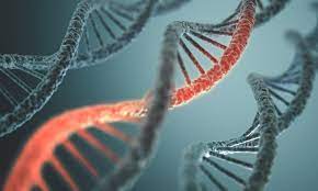 Title: Understanding the Impact of Ionizing Radiation on DNA Damage