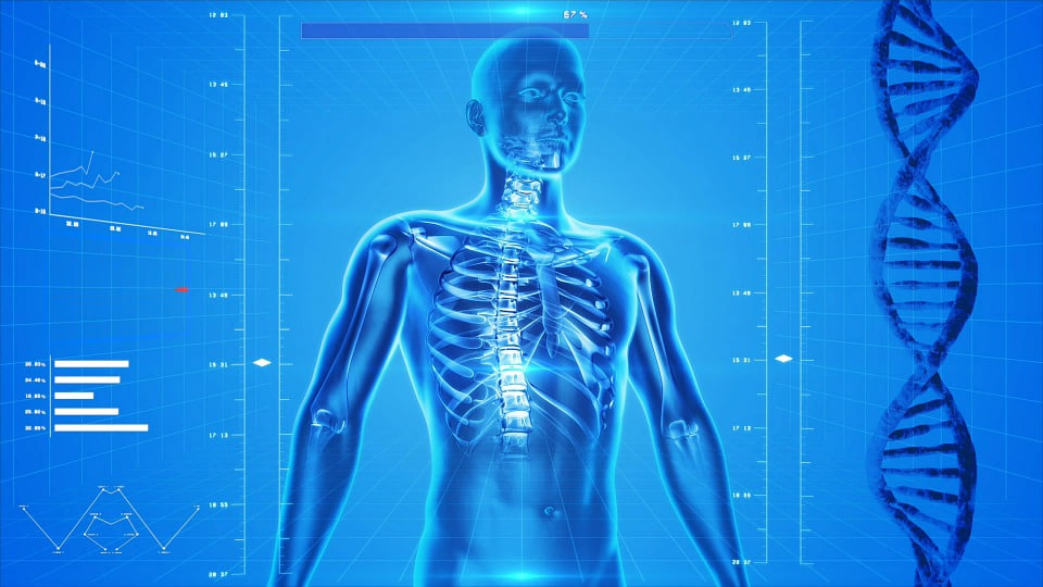 مقالة علمية للانسة نور الهدى عزمي حسن بعنوان (بيولوجيا العظام Bone biology)