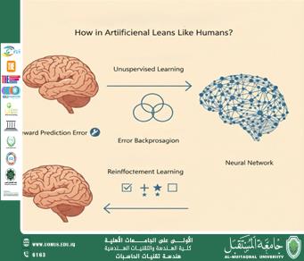 كيف يتعلّم الذكاء الاصطناعي مثل الإنسان؟