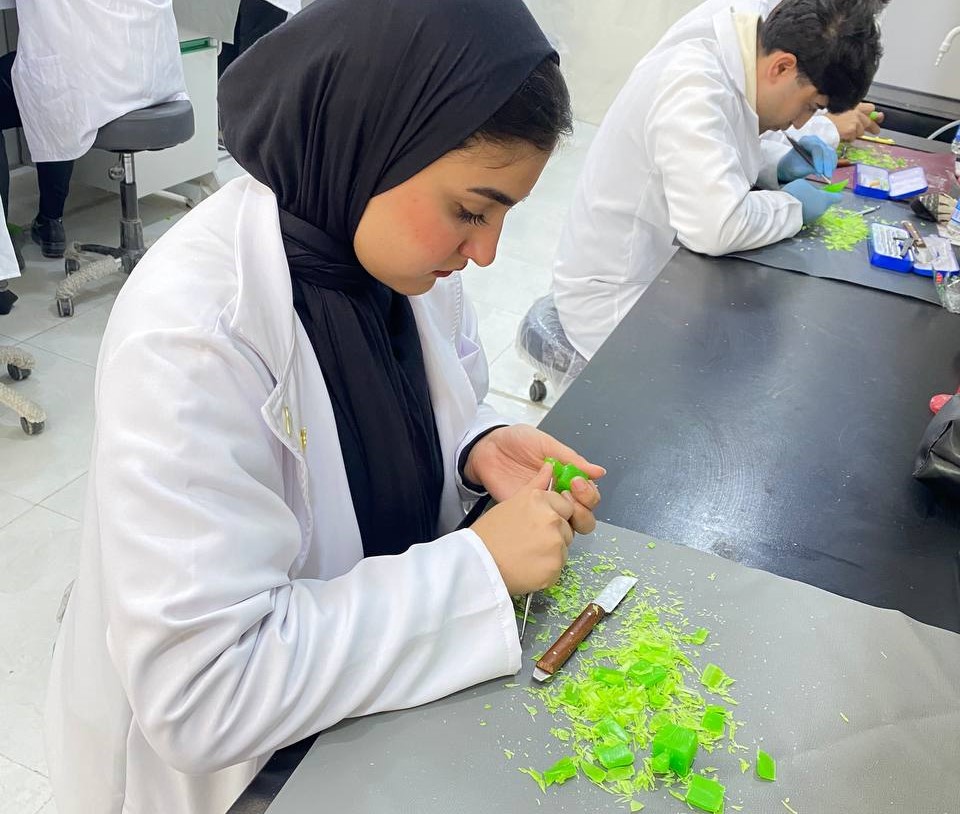 The practical aspect for the students of the first stage of the Department of Dental Technology 2024-2025