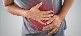 مقاله علمية للانسة ( هبه صلاح هادي ) بعنوان"" أضرار المعدة""