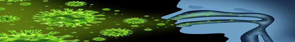 التهاب الرئة البشري  Human Metapneumovirus (HMPV)