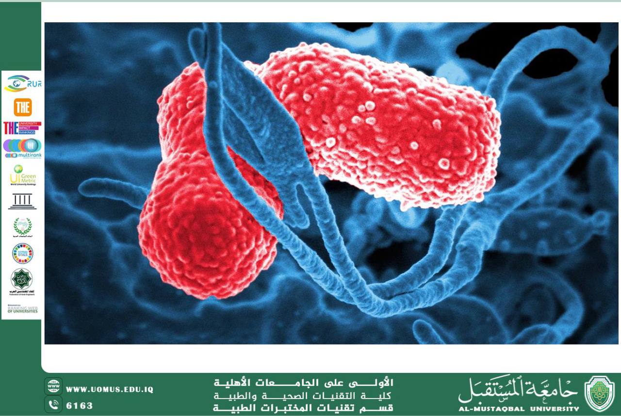 مقالة علمية للسيدة زهراء عبيس علي بعنوان Klebsiella Pneumonia 