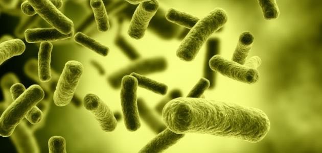 Scientific article entitled (The importance of the role of beneficial bacteria)