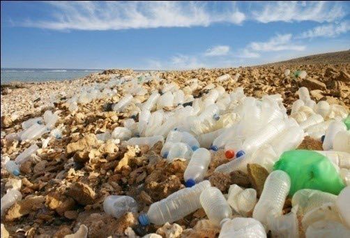 Scientific article entitled (Damages resulting from the use of plastic on human health)