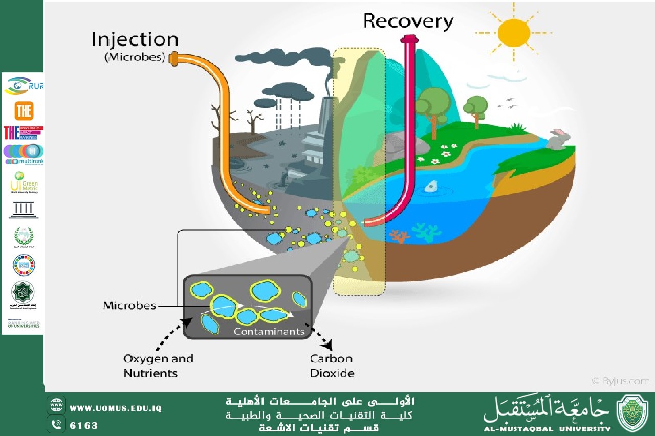 Bio-remediation: A Natural Approach to Pollution Control  by dr arshad alkhafaji 