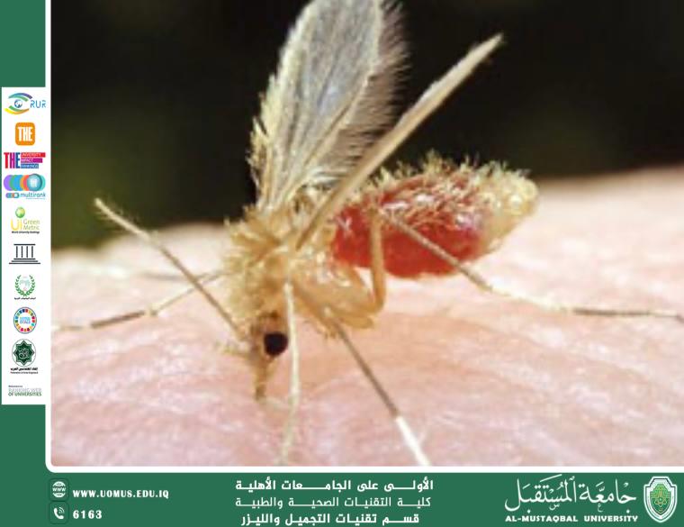 مقالة علمية لرئيس قسم تقنيات التجميل والليزر ( ا.م.د فاطمة هاشم عباس ) بعنوان  (الطفيليات والسفر: مخاطر غير متوقعة حول العالم) 