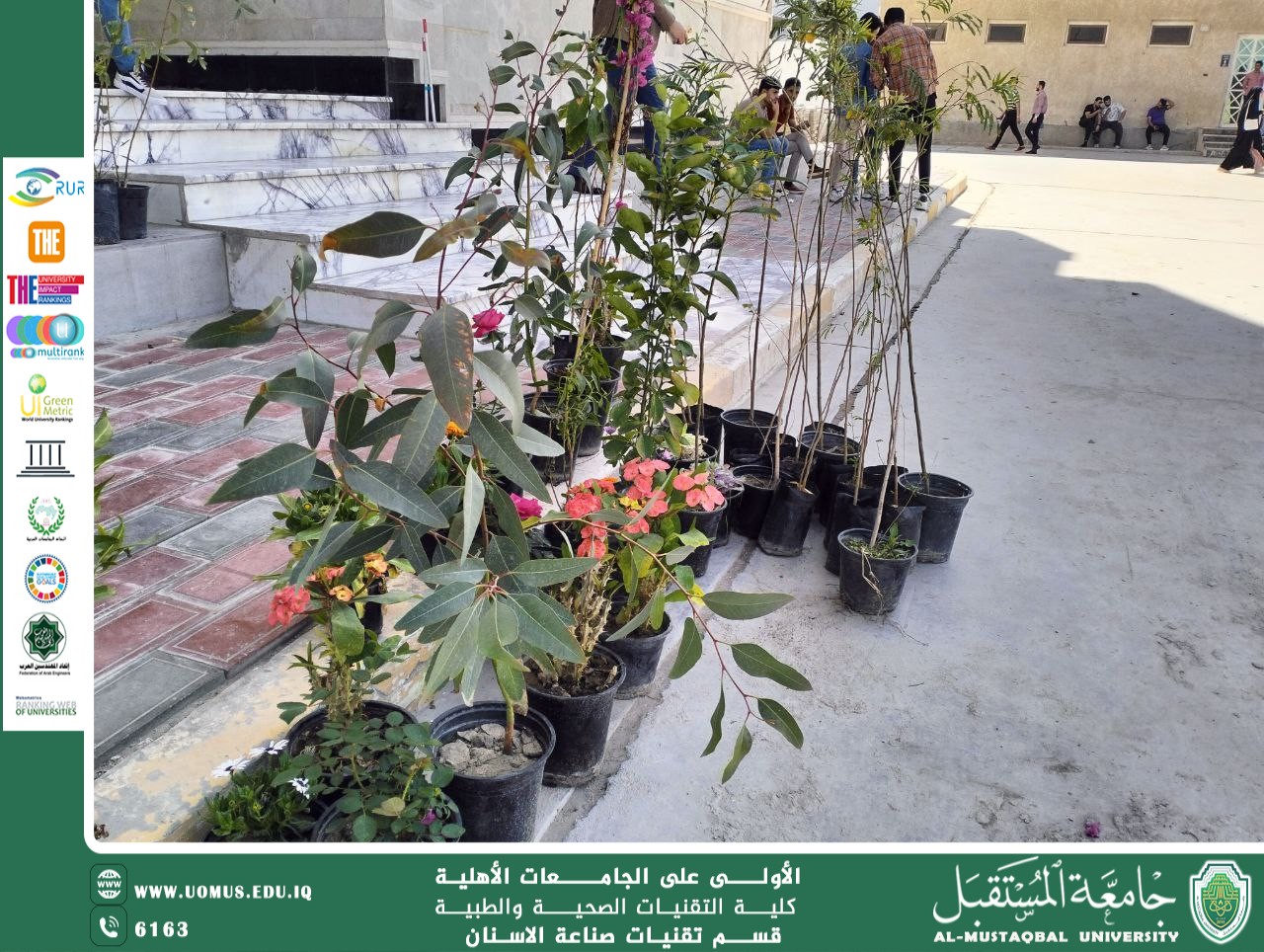 Afforestation: its importance and role in achieving environmental sustainability